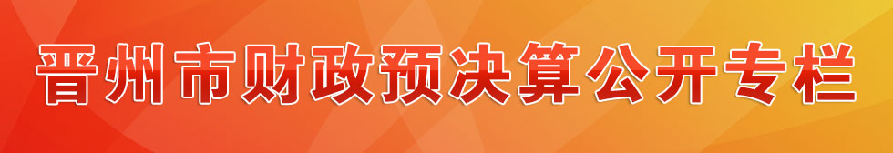 財(cái)政預(yù)決算